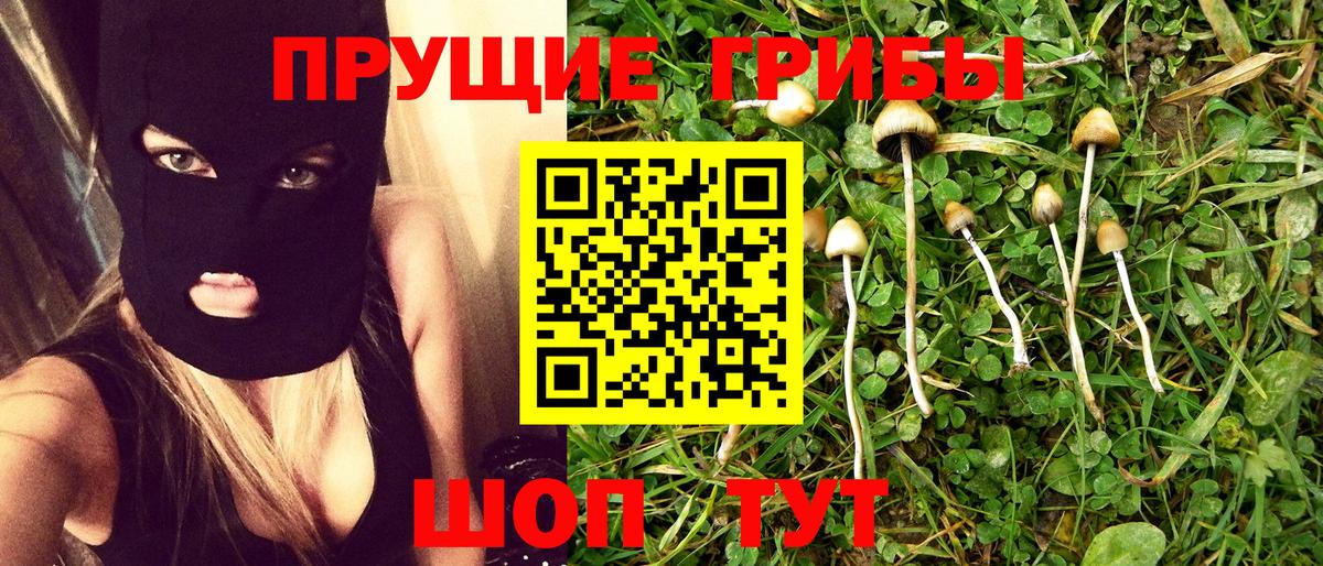 Галлюциногенные грибы мицелий Белореченск