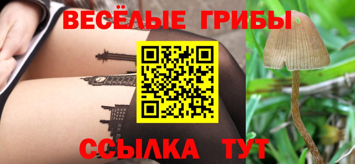 Псилоцибиновые грибы прущие грибы  Вход с VPN  Белореченск 